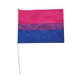 Bisexual 20 x 27 cm hand Flag